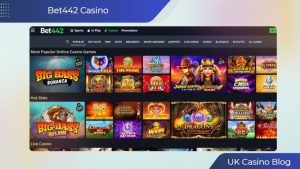 Bet442 Casino