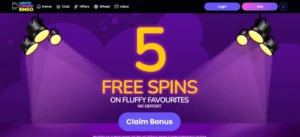 Lights Camera Bingo Casino Game
