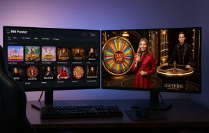 How Good Is the Game Quality and Provider Selection at Mr Punter Casino?