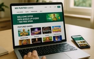 What Is Mr Punter Casino?