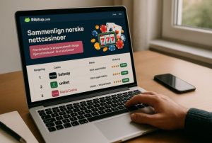 What is www.ribitup.com?